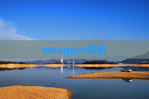 swagger截取